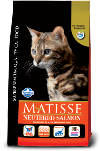 MATISSE Neutered, Somon, hrană uscată pisici sterilizate, 10kg - poza 1
