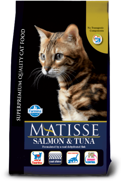 MATISSE, Somon și Ton, hrană uscată pisici, 10kg - poza 2