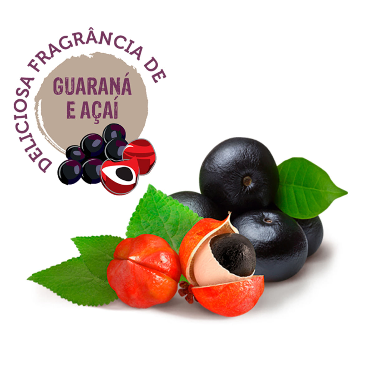 MEGAMAZON Forest Energy, șampon câini și pisici, Guarana și Acai, flacon, 300ml - poza 3