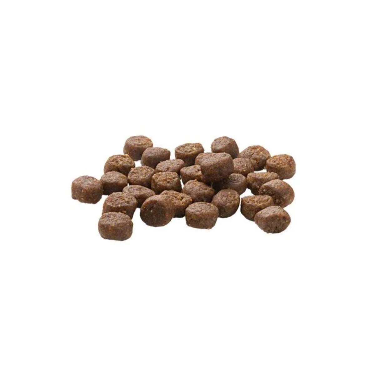 MERA Kitten, Pui, hrană uscată fără cereale pisici junior, 10kg - poza 3