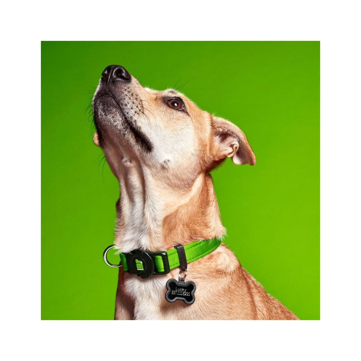 MYFAMILY Memopet, zgardă ajustabilă cu NFC câini, textil, 35-53cm, verde - poza 5