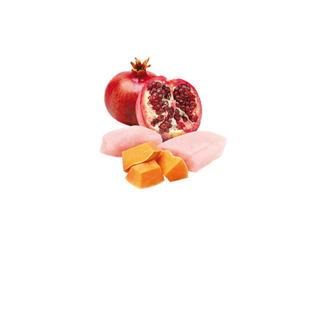 N&D Pumpkin, Pui și dovleac, conservă hrană umedă fără cereale pisici, (în aspic), 70g - poza 3