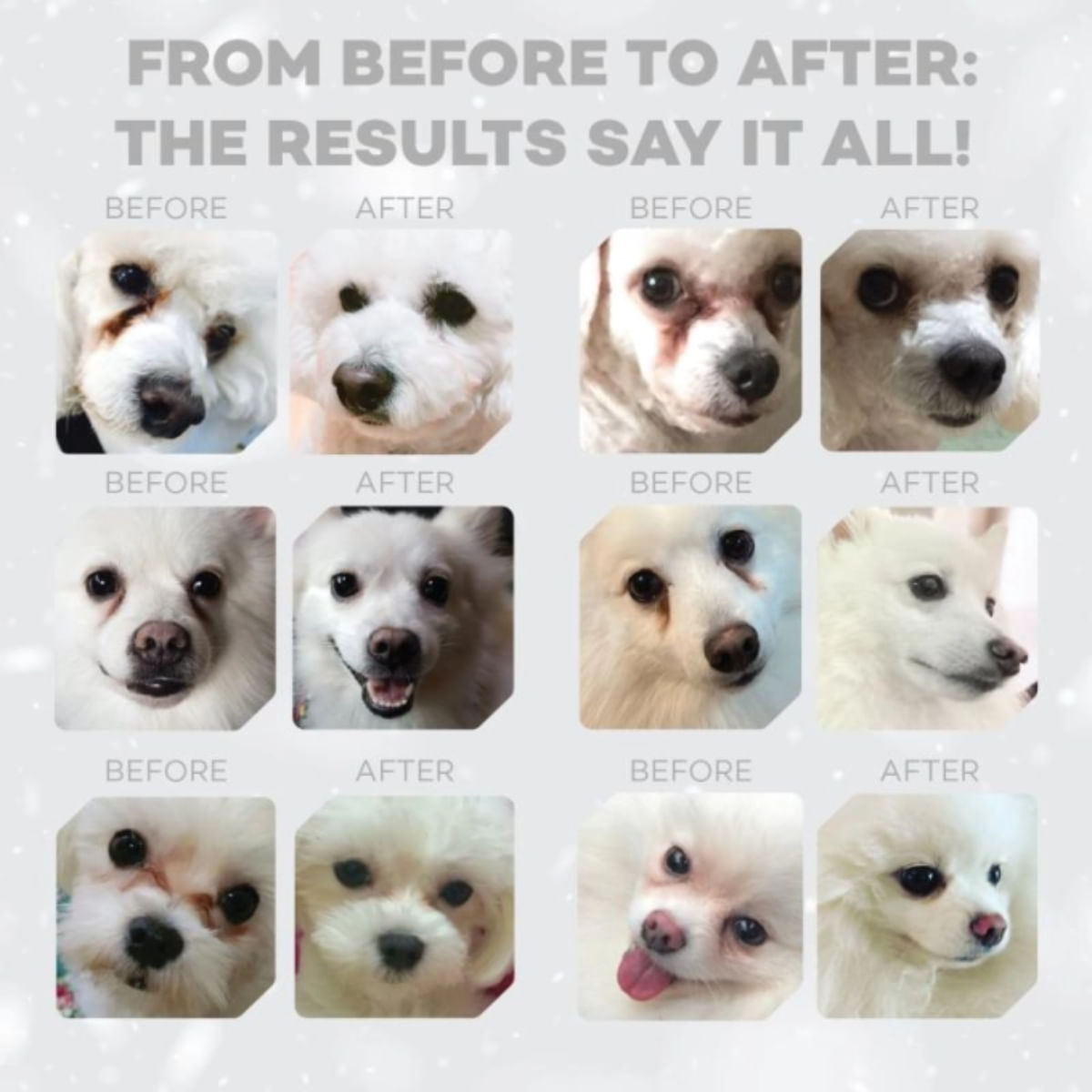 NATURES PROTECTION Superior Care White Dogs, XS-XL, Pește alb, hrană uscată fără cereale câini junior & adult, 10kg - poza 5