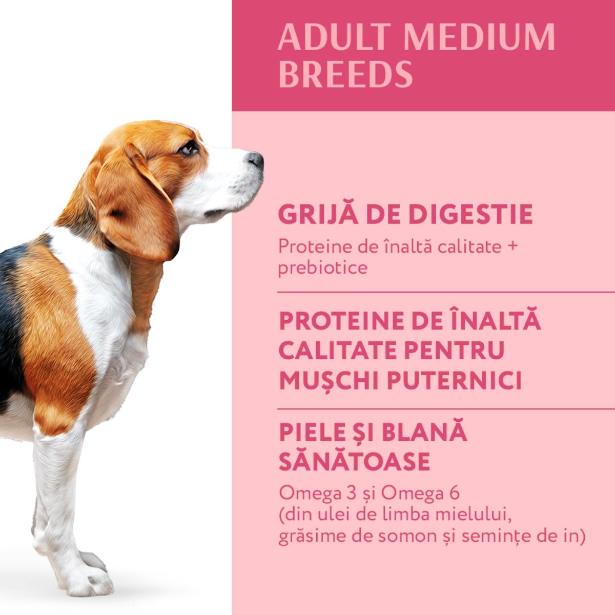 OPTIMEAL Adult M, Curcan, hrană uscată câini OPTIMEAL Adult, M, Curcan, hrană uscată câini, 4kg - poza 4