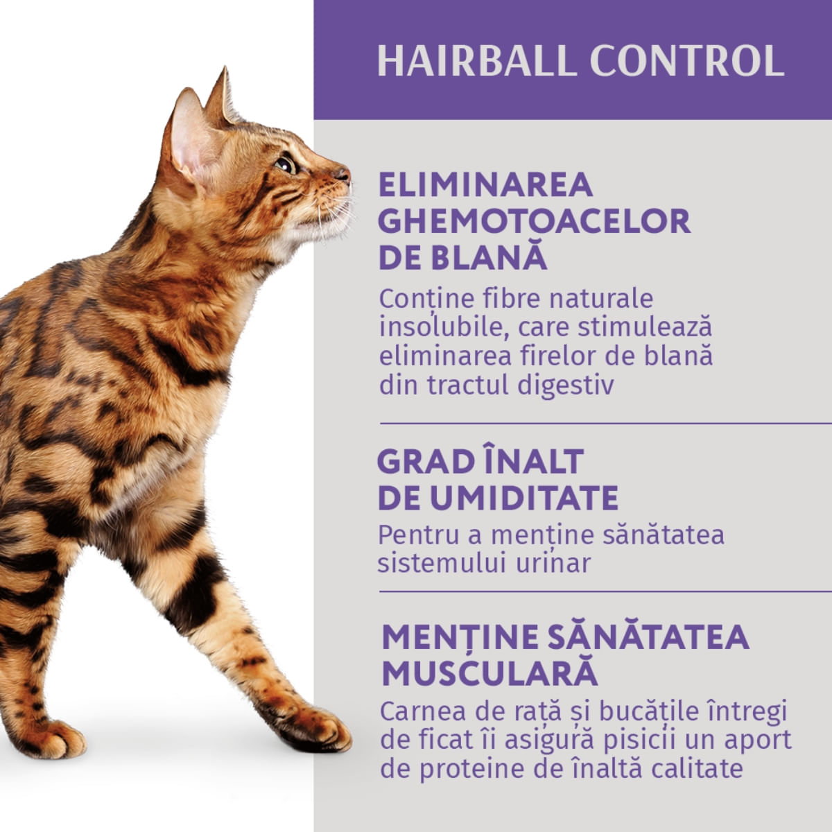 OPTIMEAL Hairball Control, Rață și Ficat, hrană umedă pisici, limitarea ghemurilor de blană, (în aspic) OPTIMEAL Hairball Control, Rață și Ficat, plic hrană umedă pisici, limitarea ghemurilor de blană, (în aspic), 85g - poza 2