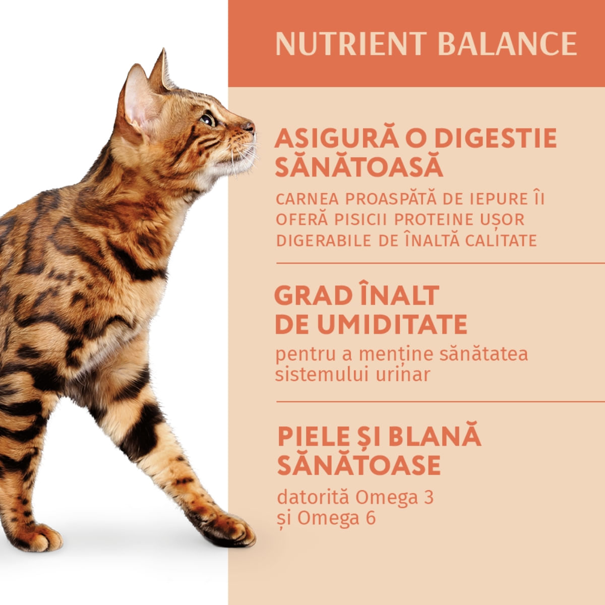 OPTIMEAL, Iepure, hrană umedă pisici, (în sos) OPTIMEAL, Iepure, plic hrană umedă pisici, (în sos), 85g - poza 4
