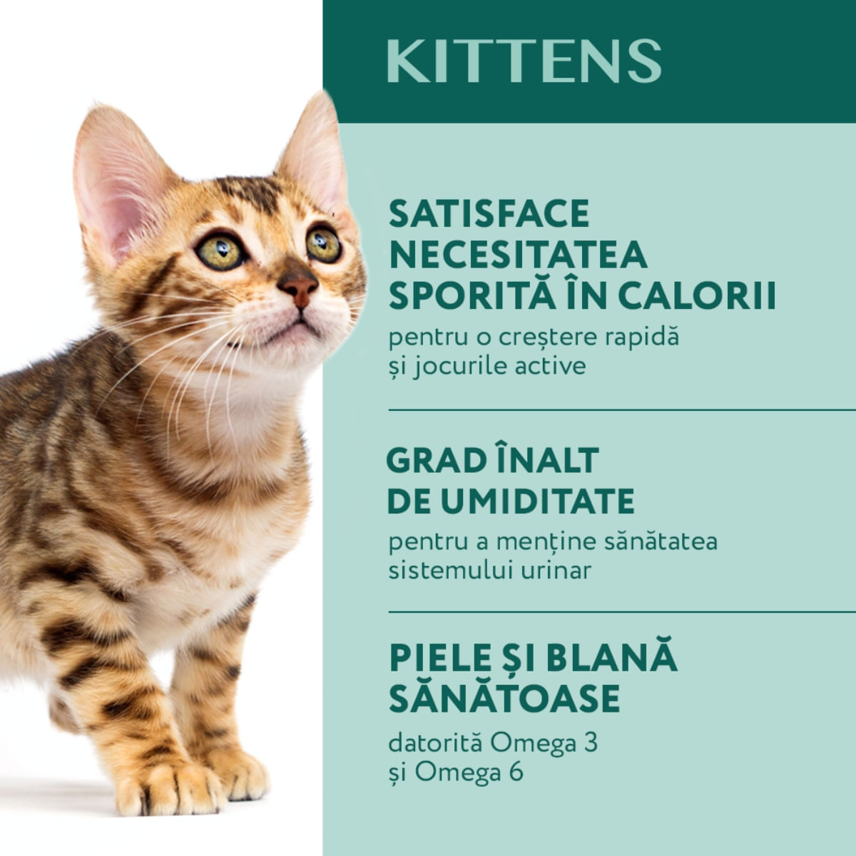 OPTIMEAL Kitten, Pui, hrană umedă pisici junior, (în sos) OPTIMEAL Kitten, Pui, plic hrană umedă pisici junior, (în sos), 85g - poza 2