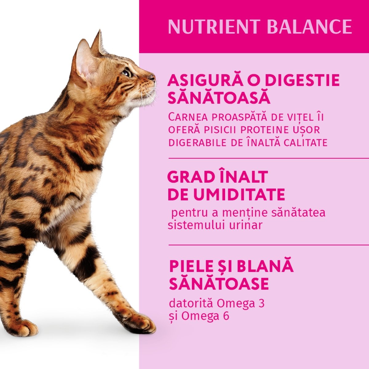 OPTIMEAL, Miel cu Legume, hrană umedă pisici, (în aspic) OPTIMEAL, Miel și Legume, plic hrană umedă pisici, (în aspic), 85g - poza 3