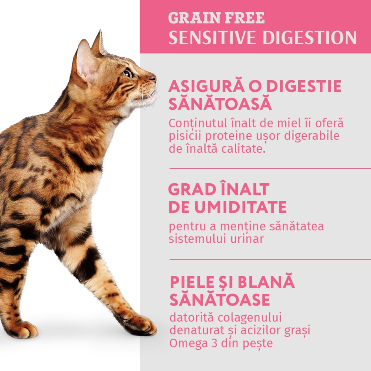 OPTIMEAL Sensitive, Miel și Curcan, hrană umedă pisici, sensibilități digestive, (în sos) OPTIMEAL Sensitive, Miel și Curcan, hrană umedă fără cereale pisici, sistem digestiv, (în sos), 85g - poza 3