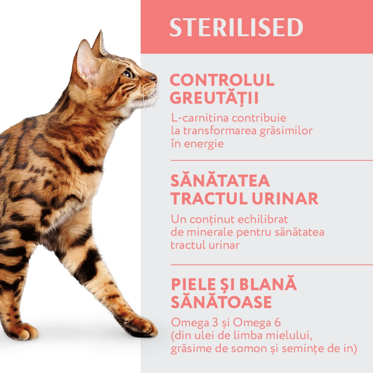 OPTIMEAL Sterilised, Vită cu Sorg, hrană uscată pisici sterilizate OPTIMEAL Sterilised, Vită, hrană uscată pisici sterilizate, 1.5kg - poza 2