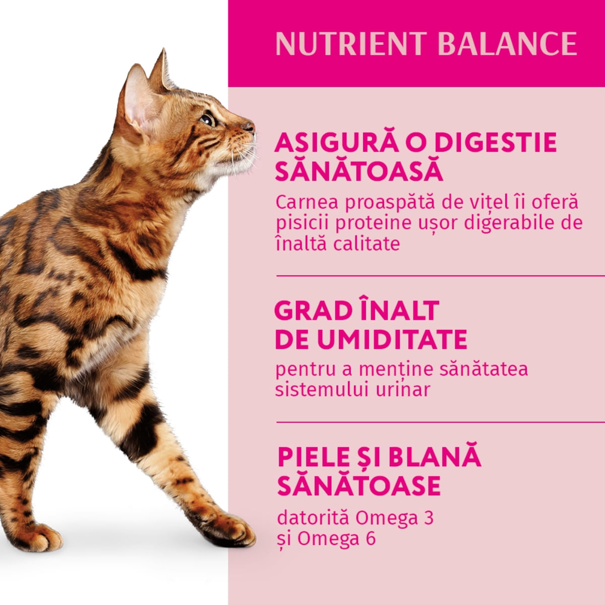 OPTIMEAL, Vită cu Merișoare, hrană umedă pisici, (în sos) OPTIMEAL, Vită cu Merișoare, pachet economic plic hrană umedă pisici, (în sos), 85g x 12 - poza 3