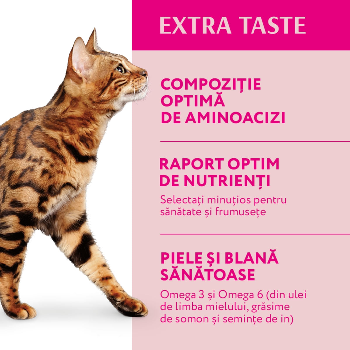 OPTIMEAL, Vită, hrană uscată pisici, 700g - poza 5