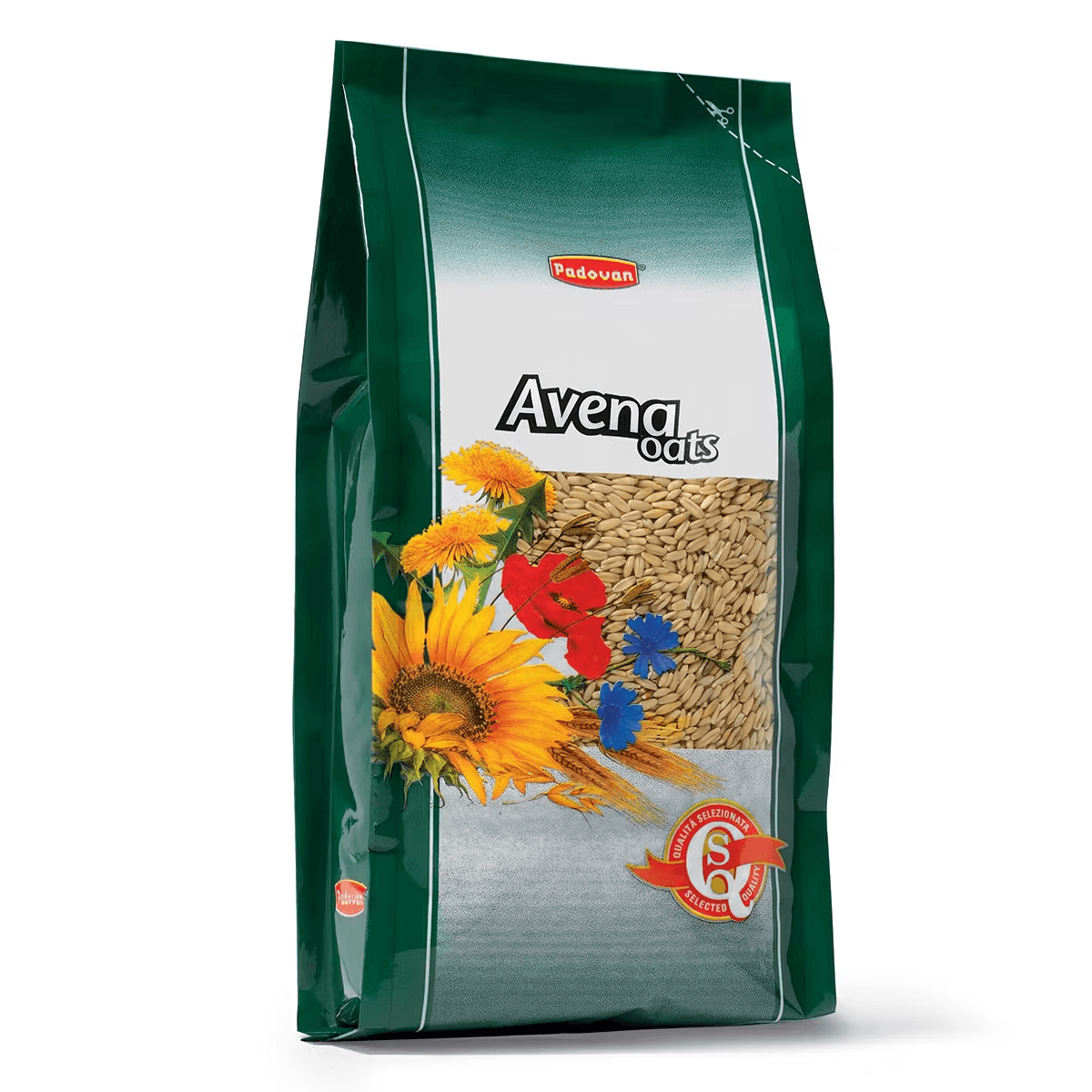 Padovan Ovaz decorticat 1kg - poza 1