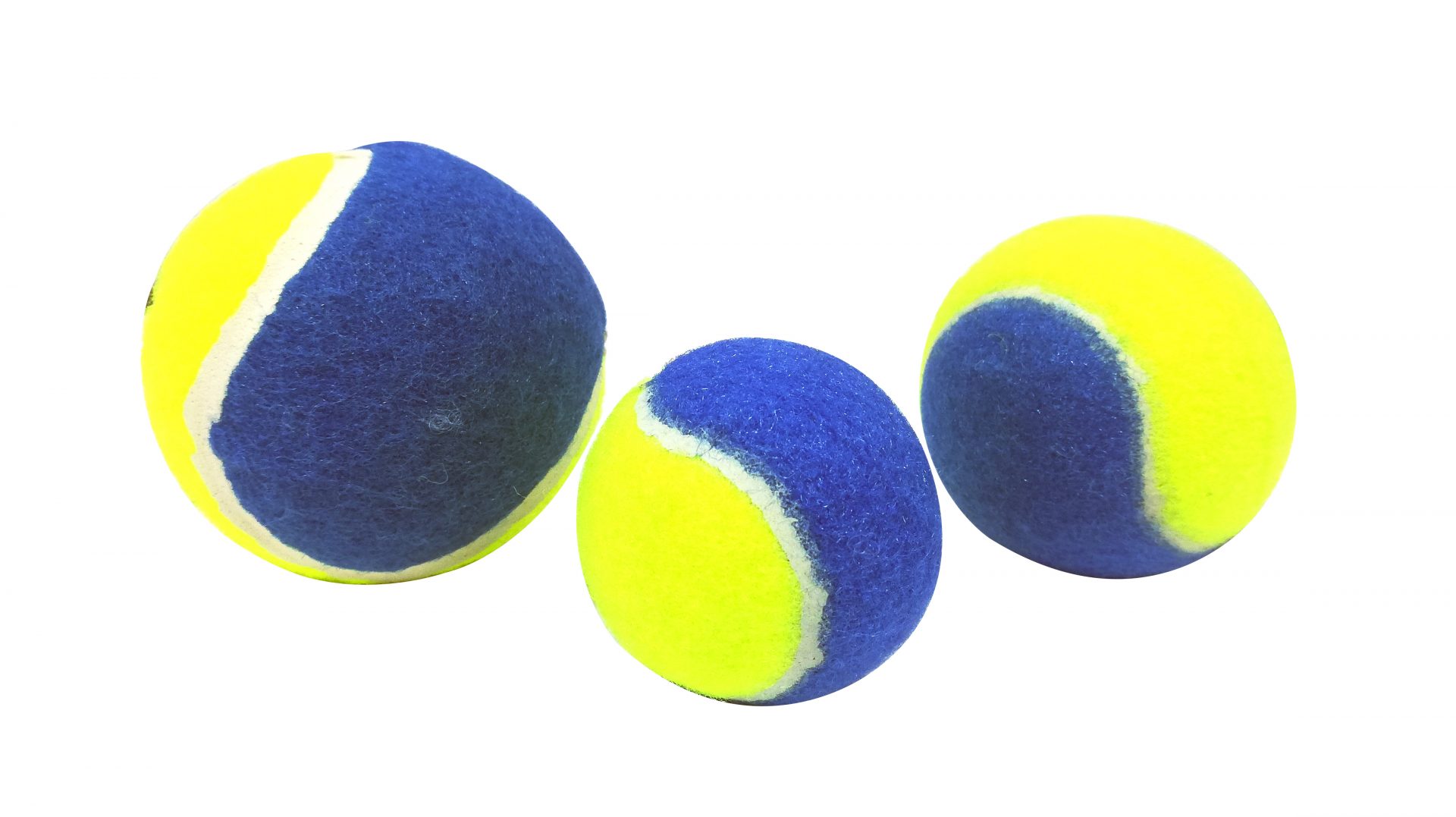 Paiatze Dog Minge Bicolor - paiatze,m