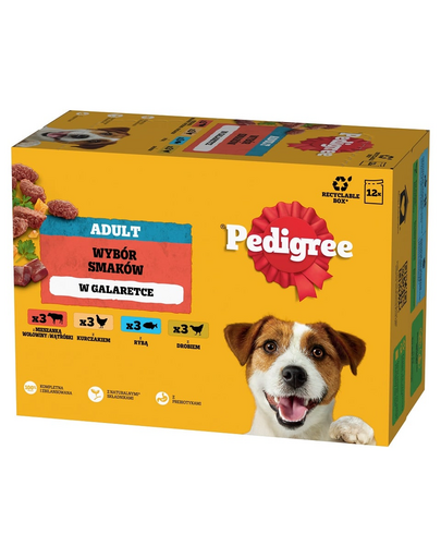 PEDIGREE Adult 12x100 g hrana umeda caini adulti, in gelatina