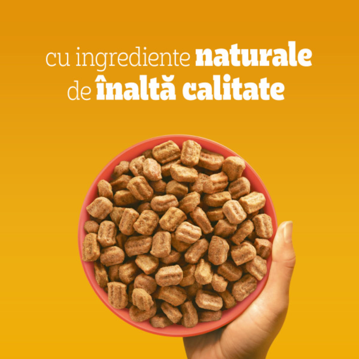 PEDIGREE Adult, M-XL, Vită și Legume, hrană uscată câini, 10+2kg GRATUIT - poza 4