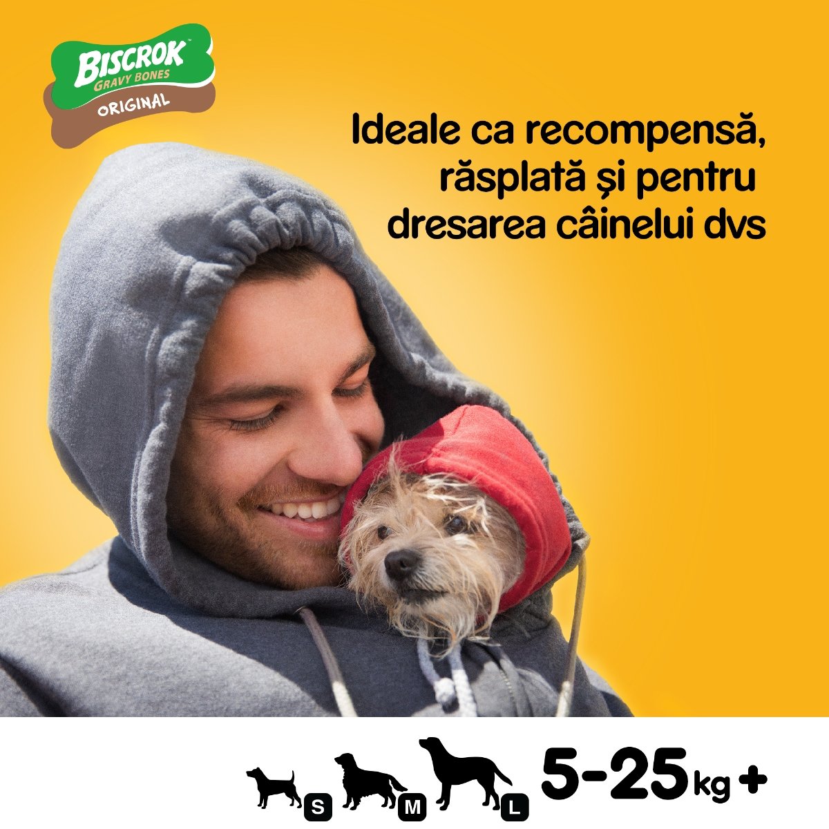 PEDIGREE Biscrok Gravy Bones, recompense câini, biscuiți, 10kg - poza 5