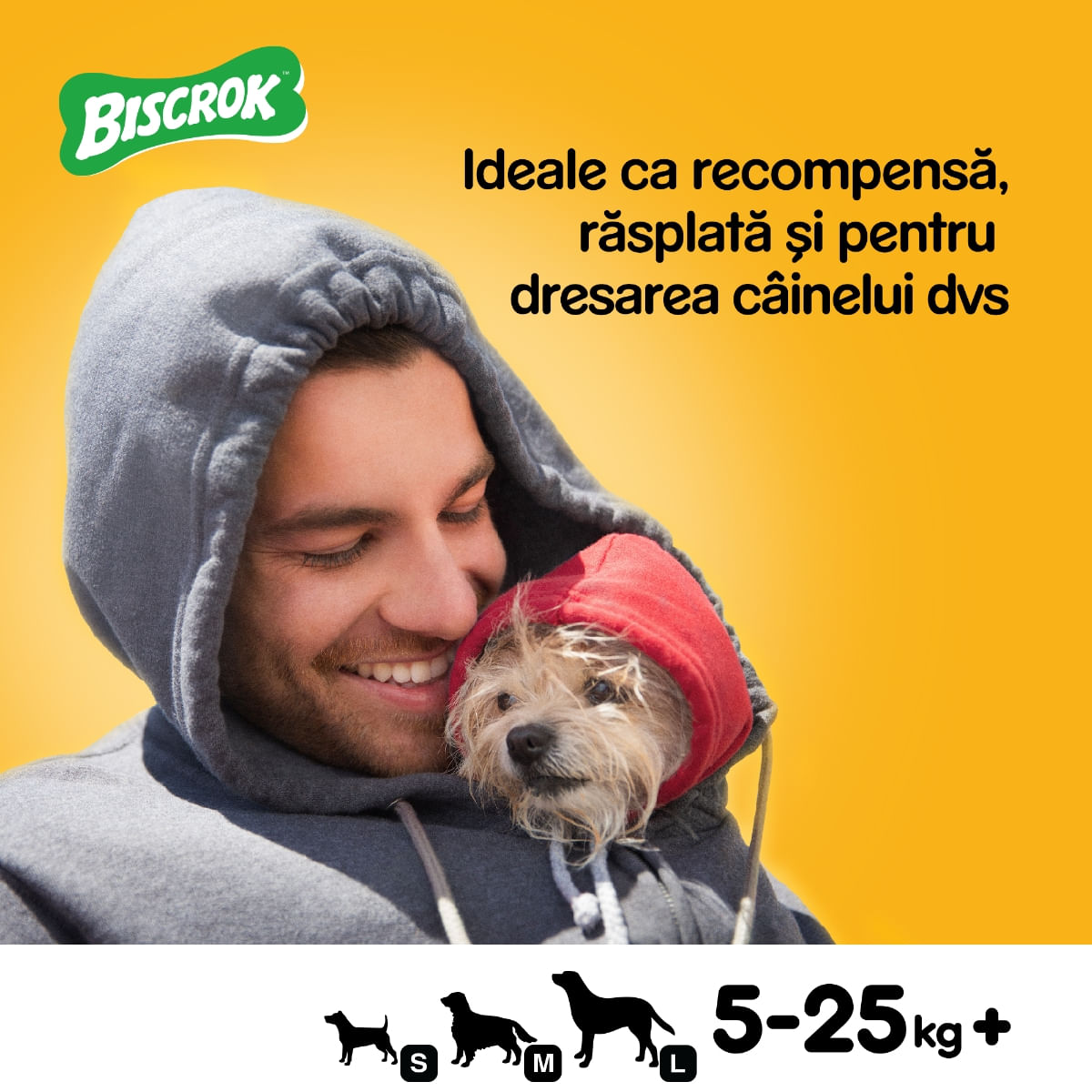 PEDIGREE Biscrok Multi Mix, recompense câini, biscuiți, Pui, Vită și Miel , 200g - poza 5