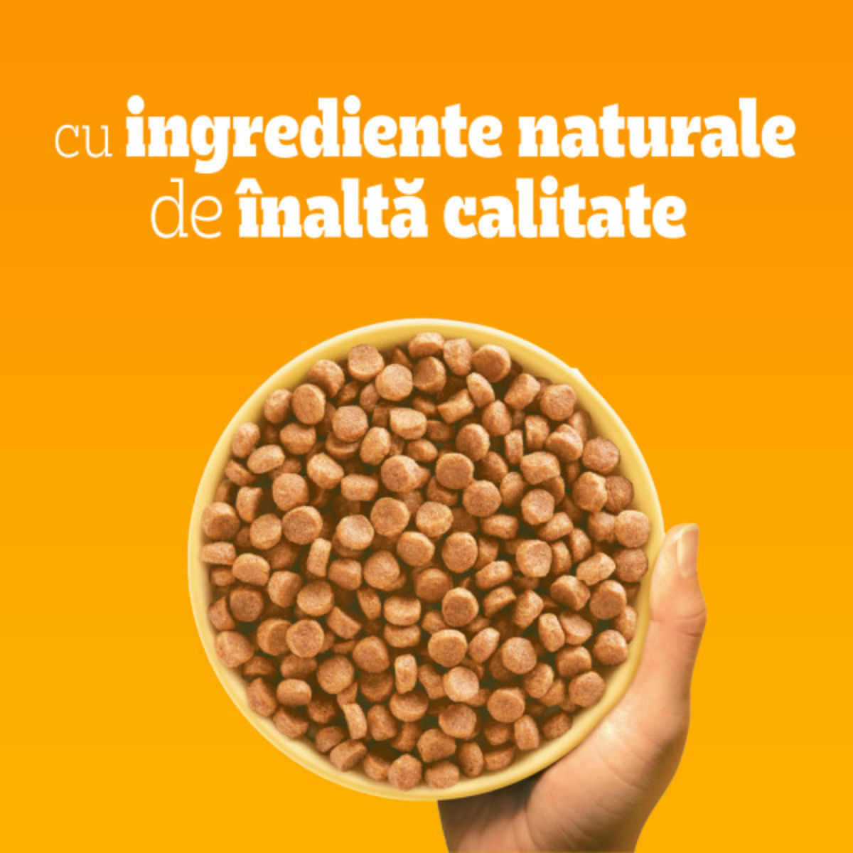 PEDIGREE Junior, M-XL, Pasăre și Legume, hrană uscată câini junior, 10+2kg GRATUIT - poza 3
