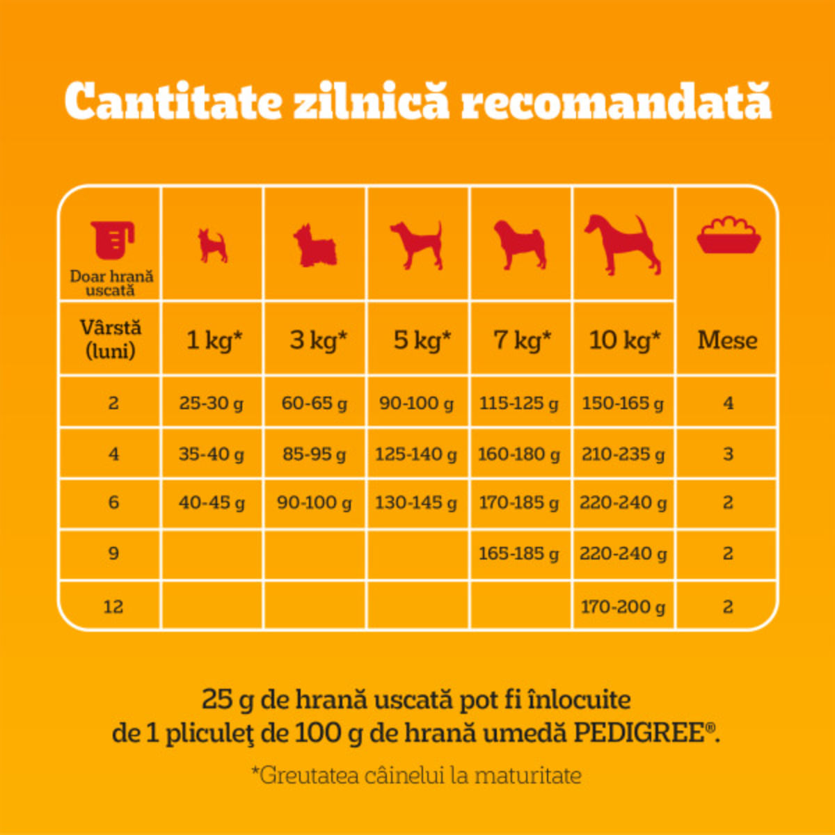PEDIGREE Junior Mini, XS-S, Pasăre și Legume, hrană uscată câini junior, 500g - poza 5