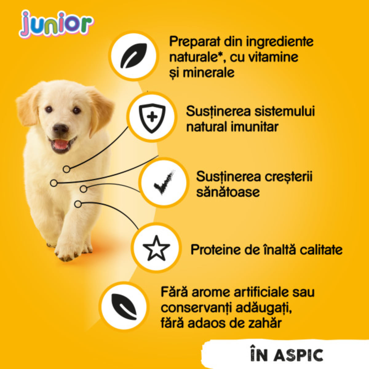 PEDIGREE Junior, XS-XL, Pui, conservă hrană umedă câini junior, (în aspic), 400g - poza 4