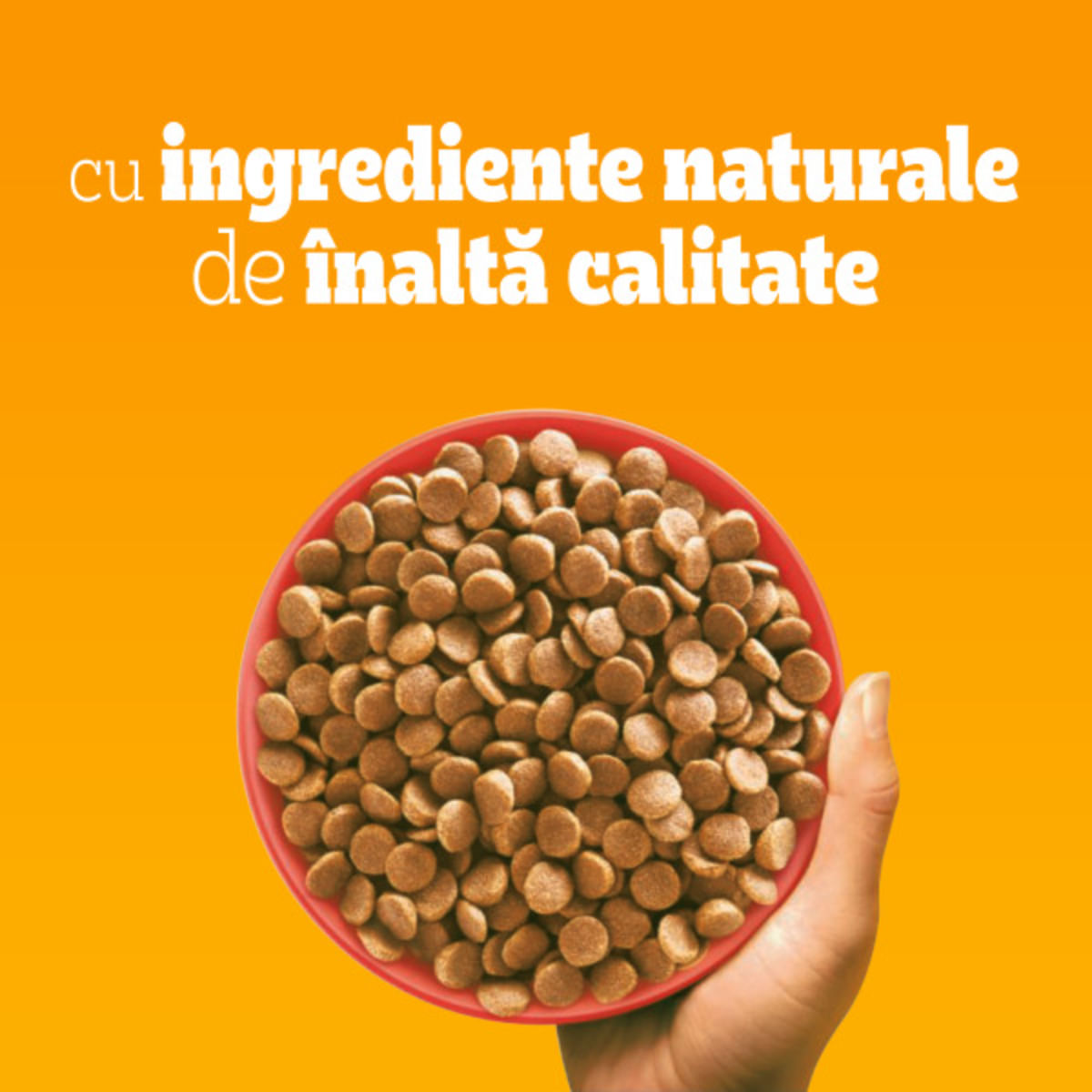 PEDIGREE Mini Adult, XS-S, Vită și Legume, hrană uscată câini, 10+2kg GRATUIT - poza 3