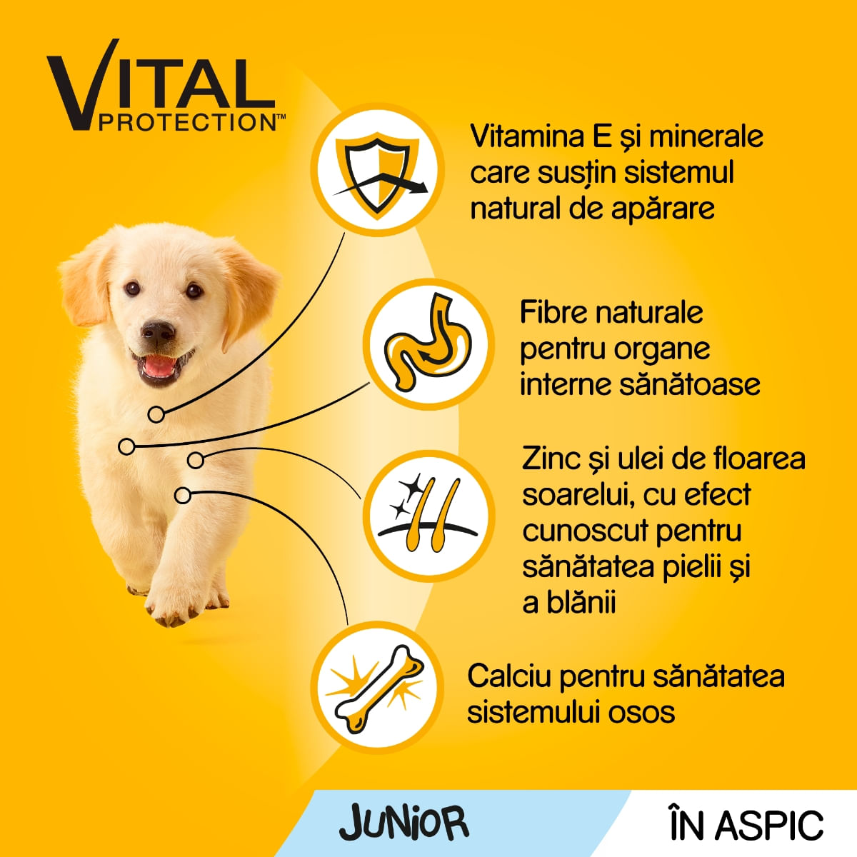 PEDIGREE Vital Protection Junior Multipack, 4 arome, pachet mixt, plic hrană umedă câini junior, (în aspic), 100g x 12 - poza 5