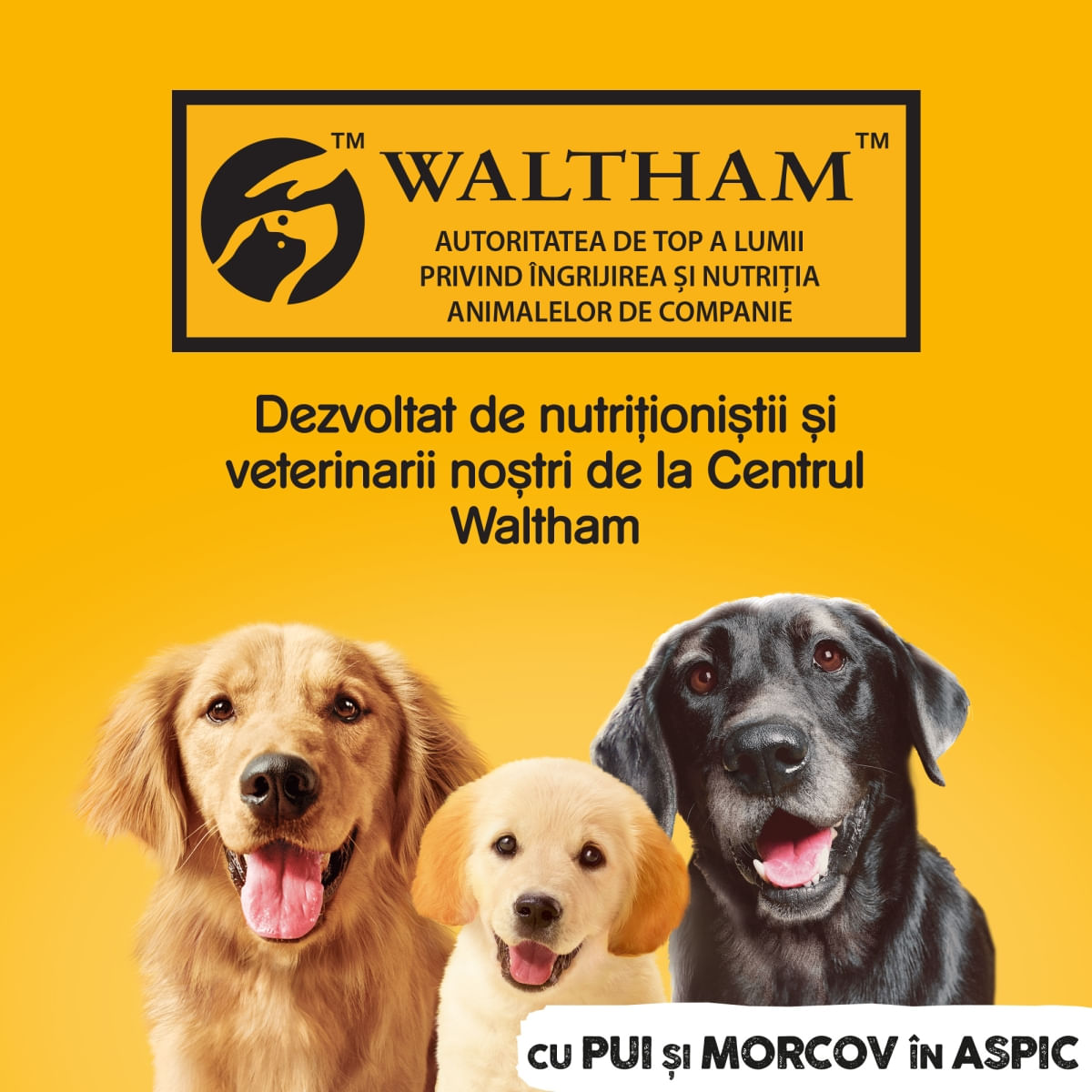 PEDIGREE, XS-XL, Pui și Morcov, conservă hrană umedă câini, (în aspic), 1200g - poza 5