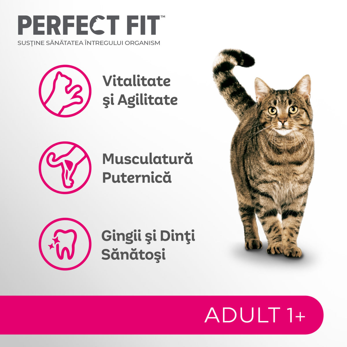 PERFECT FIT Cat Adult 1+, Somon, hrană uscată pisici, 750g - poza 5