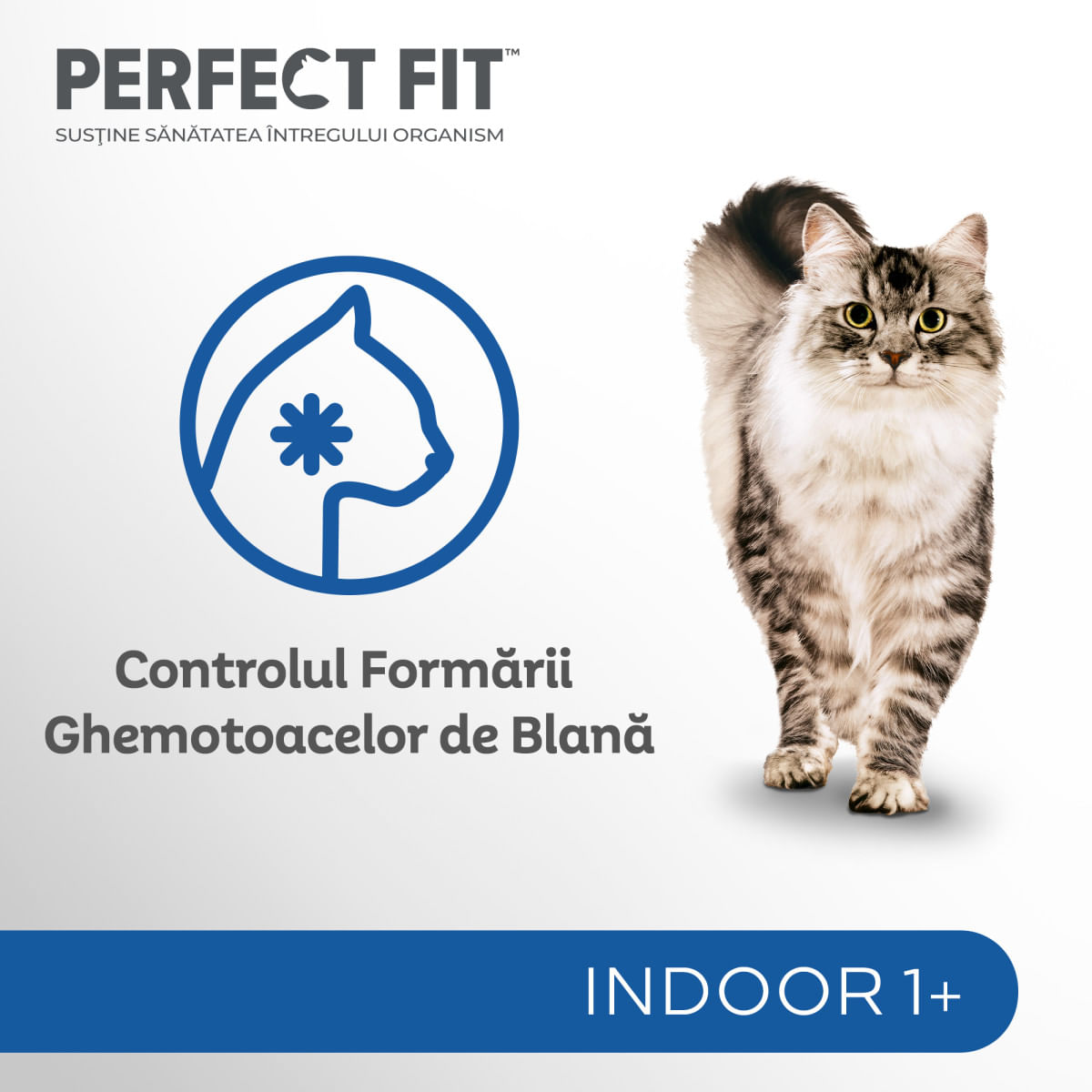 PERFECT FIT Cat Indoor 1+, Pui, plic hrană umedă pisici, (în sos), 85g - poza 5