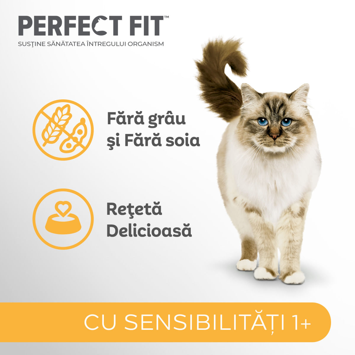 PERFECT FIT Cat Sensitive 1+, Curcan, hrană uscată pisici, sistem digestiv, 7kg - poza 5
