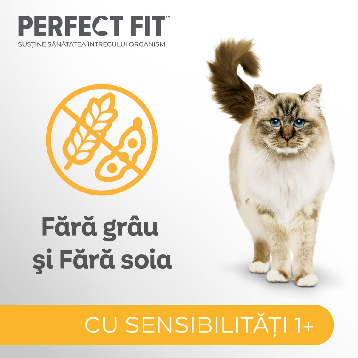 PERFECT FIT Cat Sensitive 1+ , Pui, plic hrană umedă pisici, sistem digestiv, (în sos), bax, 85g x 12buc - poza 5