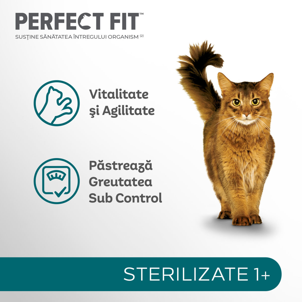 PERFECT FIT Cat Sterile 1+, Pui, hrană uscată pisici sterilizate, 1.4kg - poza 4