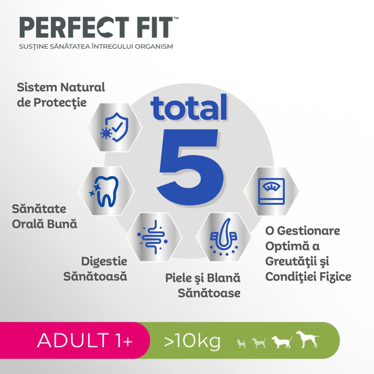PERFECT FIT Dog Adult 1+, M, Pui, hrană uscată câini, 6kg - poza 4
