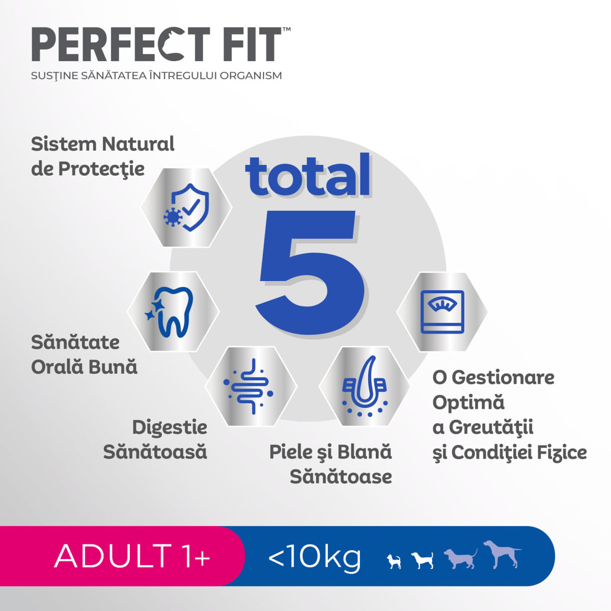 PERFECT FIT Dog Adult Small, XS-S, Pui, hrană uscată câini, 6kg - poza 5