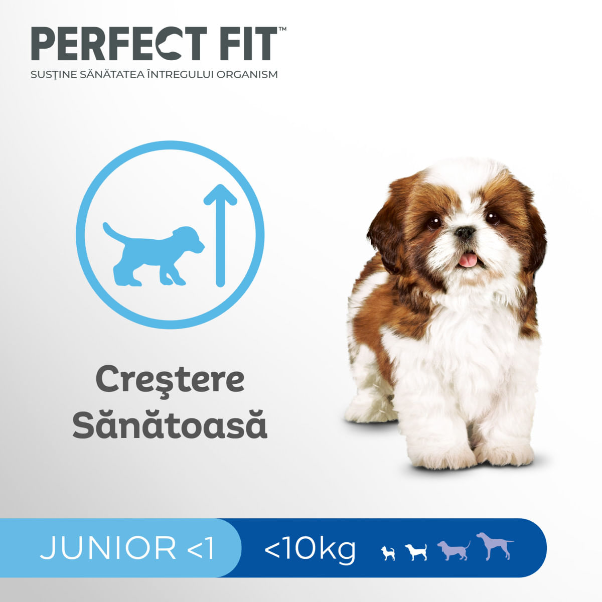 PERFECT FIT Dog Junior Small, XS-S, Pui, hrană uscată câini junior, 825g - poza 5