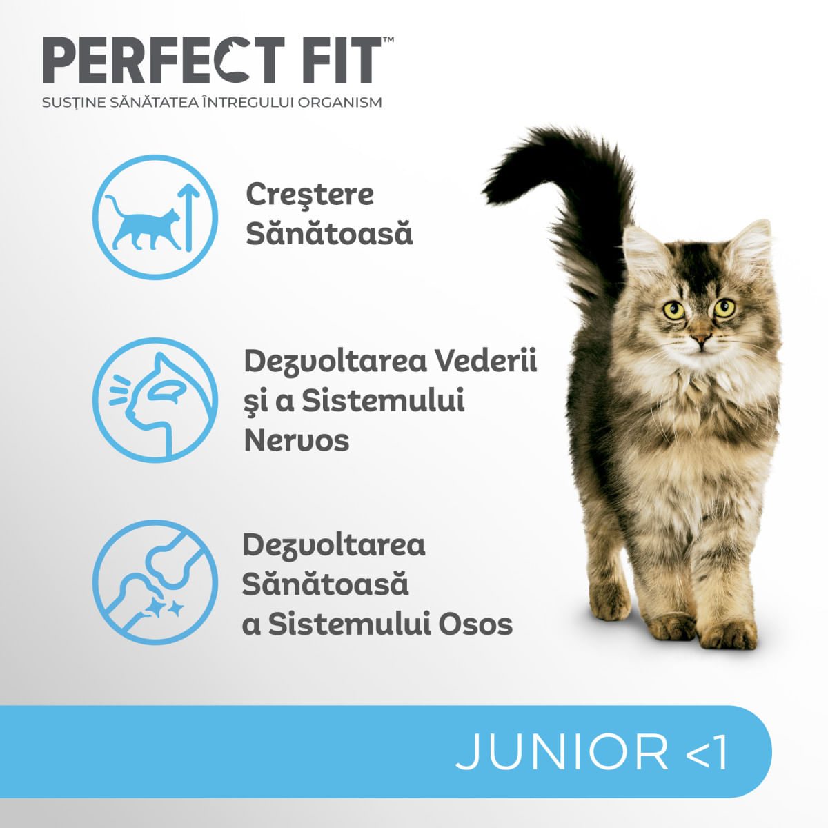 PERFECT FIT Kitten, Pui, hrană uscată pisici junior, 750g - poza 5