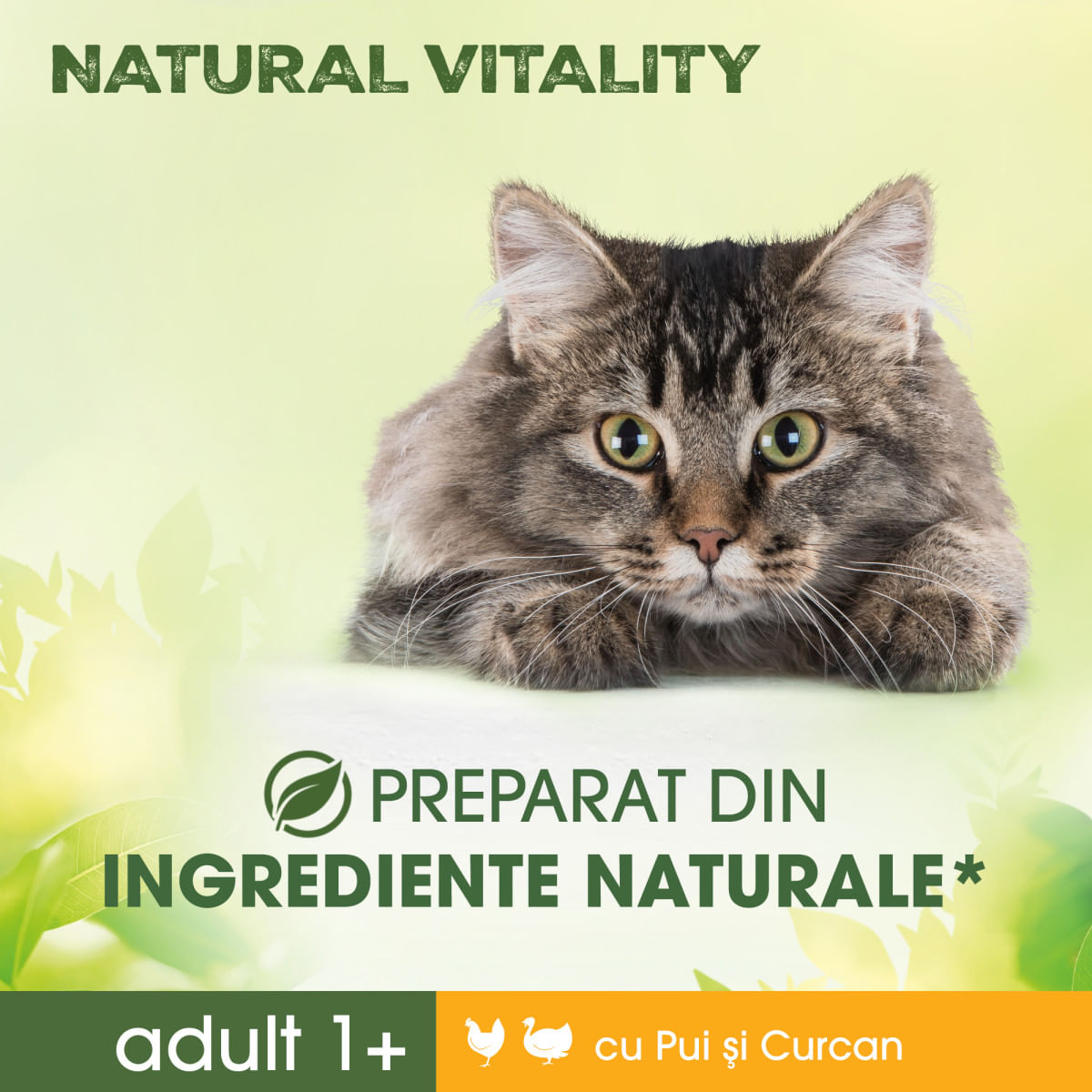 PERFECT FIT Natural Vitality, Pui și Curcan, hrană uscată pisici, 650g - poza 5