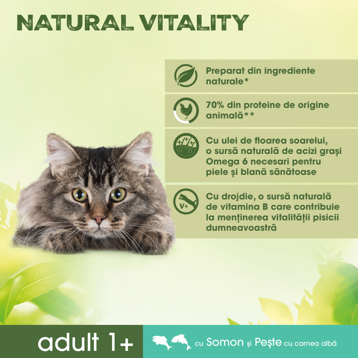 PERFECT FIT Natural Vitality, Somon și Pește alb, hrană uscată pisici, 650g - poza 5
