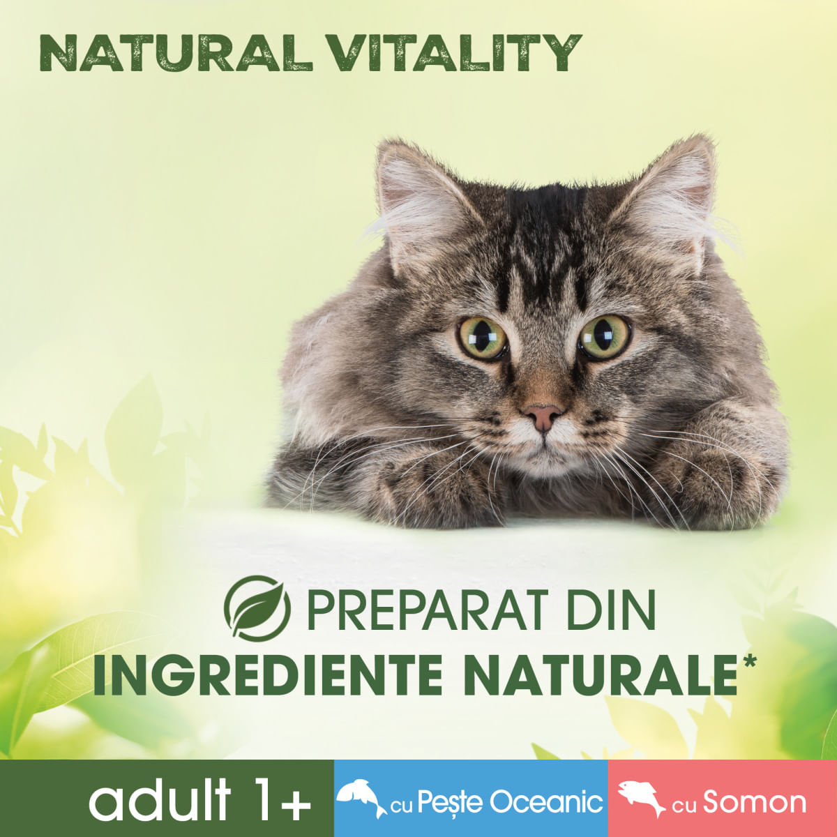 PERFECT FIT Natural Vitality, Somon și Pește, plic hrană umedă fără cereale pisici, (în sos), multipack, 50g x 6buc - poza 5