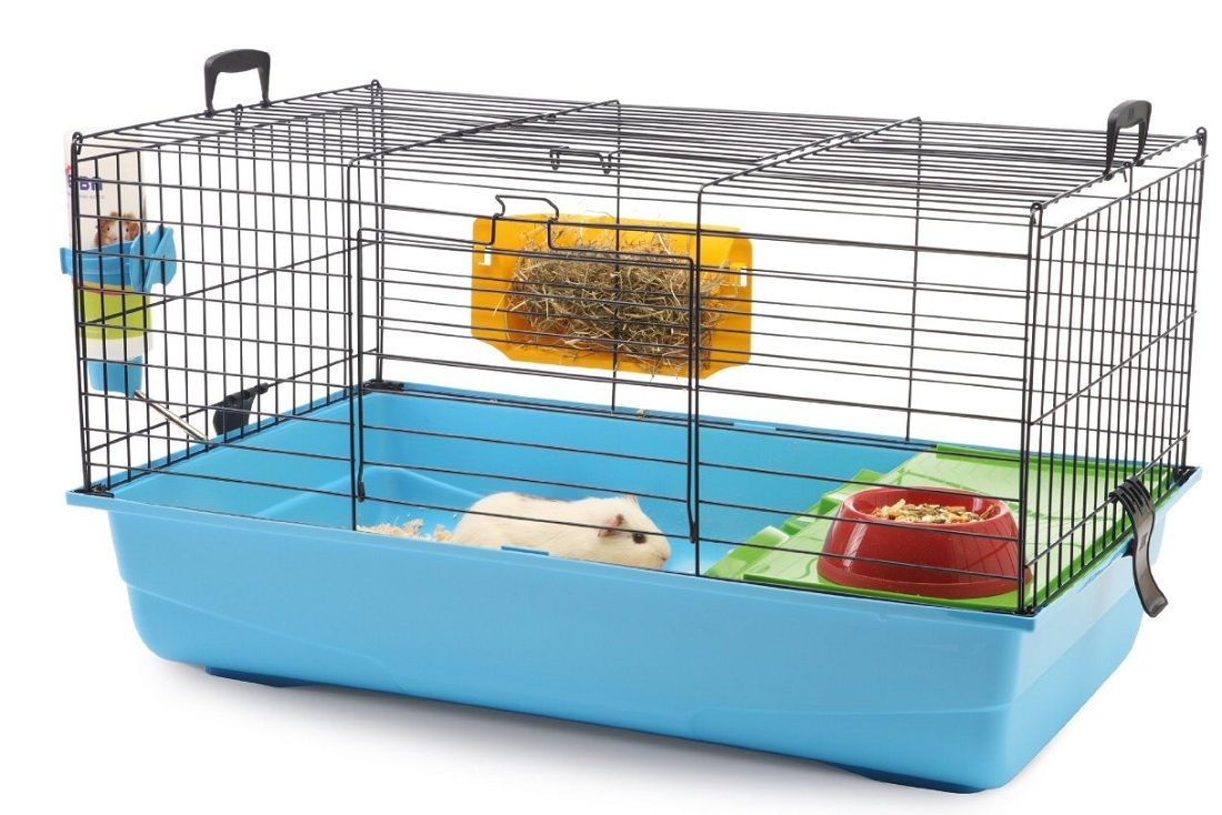 Pet Expert Cusca Rody De Luxe 80 cm Blue