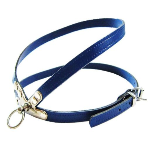 Pet Expert Ham Clasic Albastru - nr-5