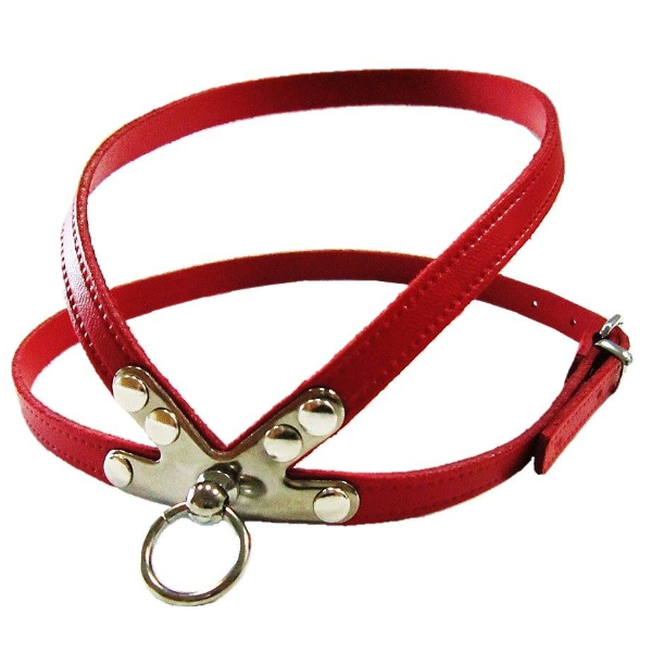 Pet Expert Ham Clasic Rosu - pet-expert,nr-6