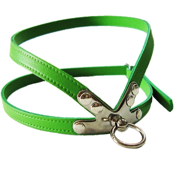Pet Expert Ham Clasic Verde - pet-expert,nr-3