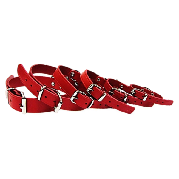 Pet Expert Zgarda Clasic - nr-4