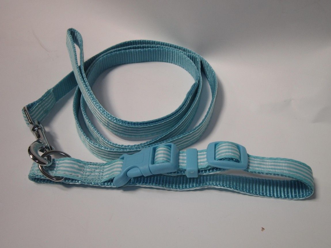 Pet Expert Zgarda/Lesa 1.2X120 cm Albastru A0108