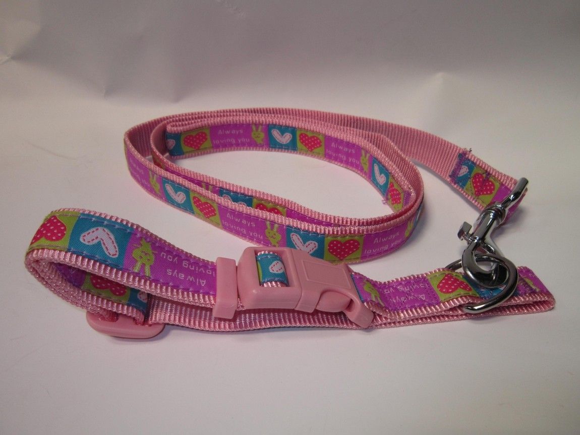 Pet Expert Zgarda/Lesa 2.0X120 cm 1037A 2.0