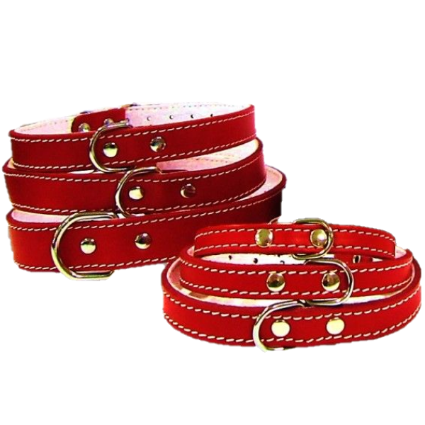 Pet Expert Zgarda Pasla Rosu - nr-5