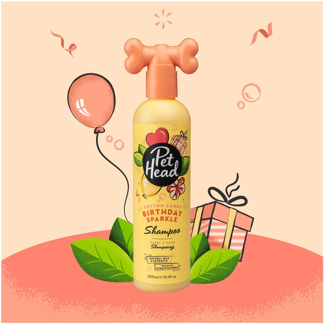 Pet Head Birthday Edition - poza 1