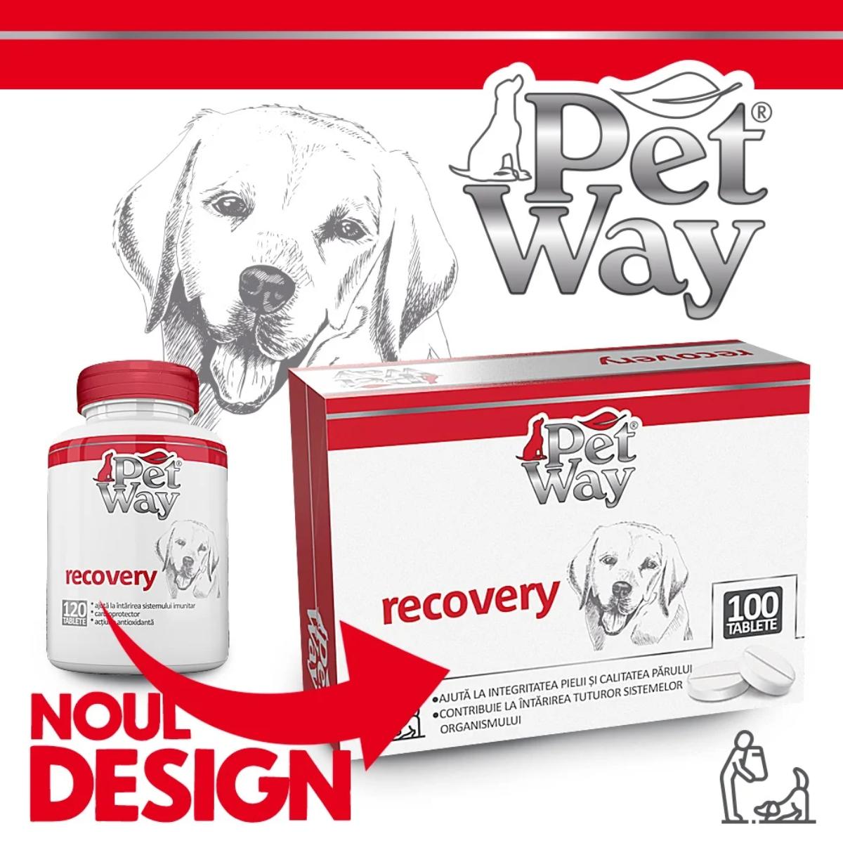 PETWAY Recovery, XS-XL, supliment convalescență câini, cutie, 100 comprimate - poza 2